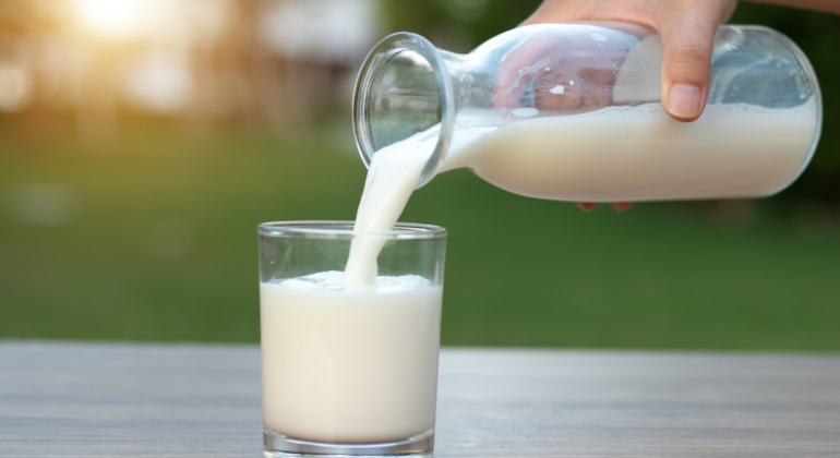 mleko - czy jest zdrowe