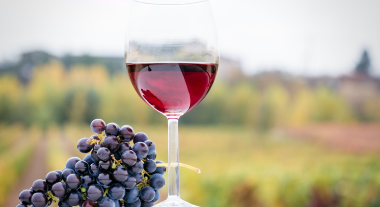 Jak zrobić wino z winogron